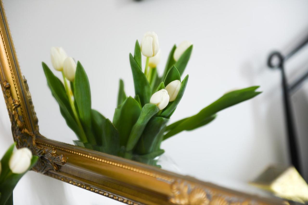 Apartma Diana Borik *